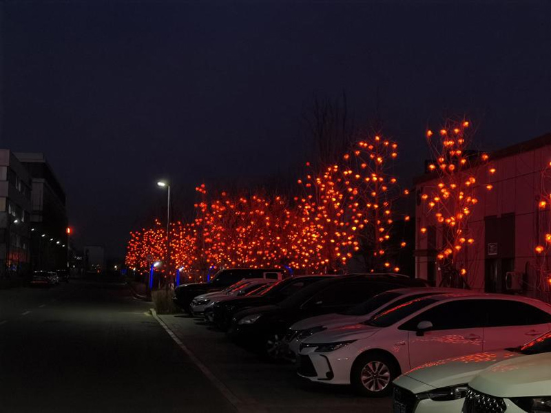 �׻𡤵羺(�й�)�ٷ���վ-�㼯ȫ����Ӿ���ƽ̨